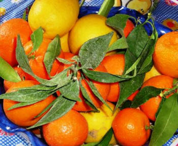 Piano di Sorrento Zitronen und Orangen