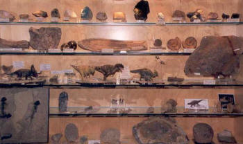 Vico Equense Museum